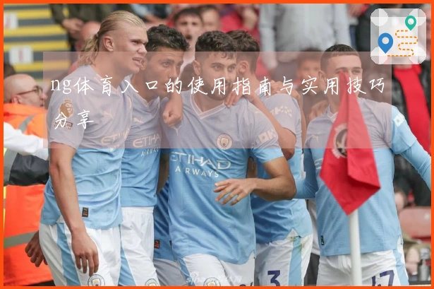 ng体育入口的使用指南与实用技巧分享