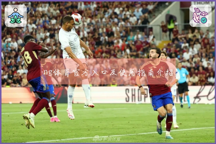 ng体育官方入口及使用指南介绍