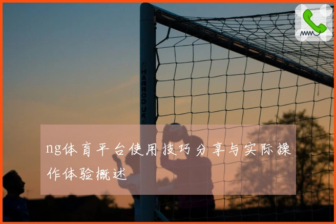 ng体育平台使用技巧分享与实际操作体验概述
