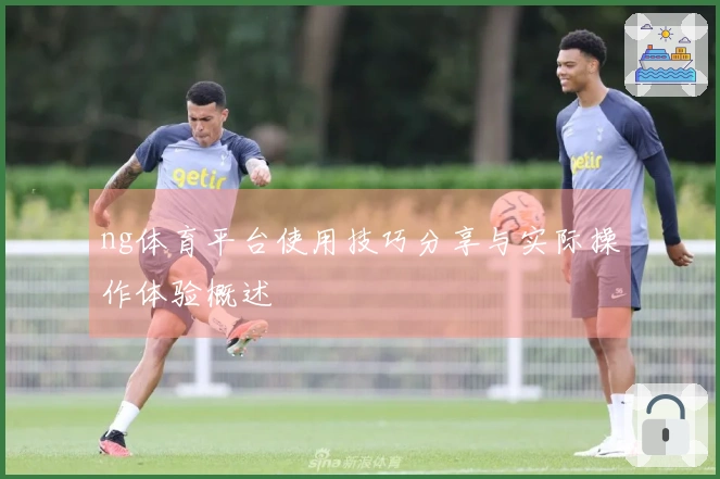 ng体育平台使用技巧分享与实际操作体验概述