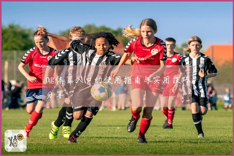 ng体育入口的使用指南与实用技巧分享